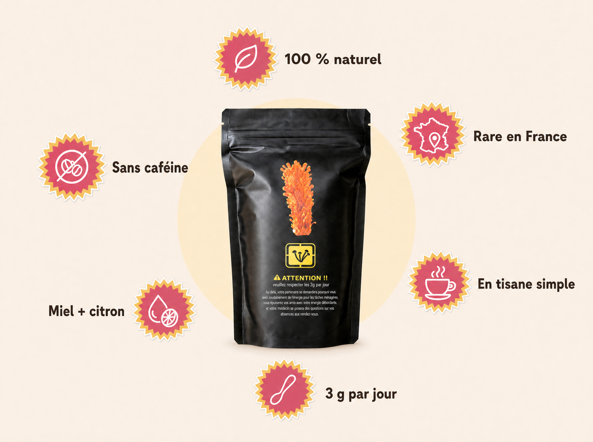 Les atouts du cordyceps Madame Misu