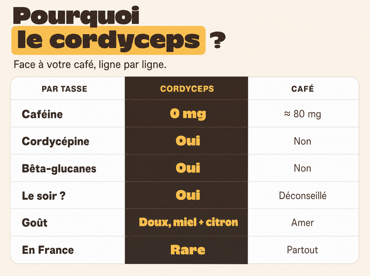 Pourquoi le cordyceps ? Comparaison avec le café