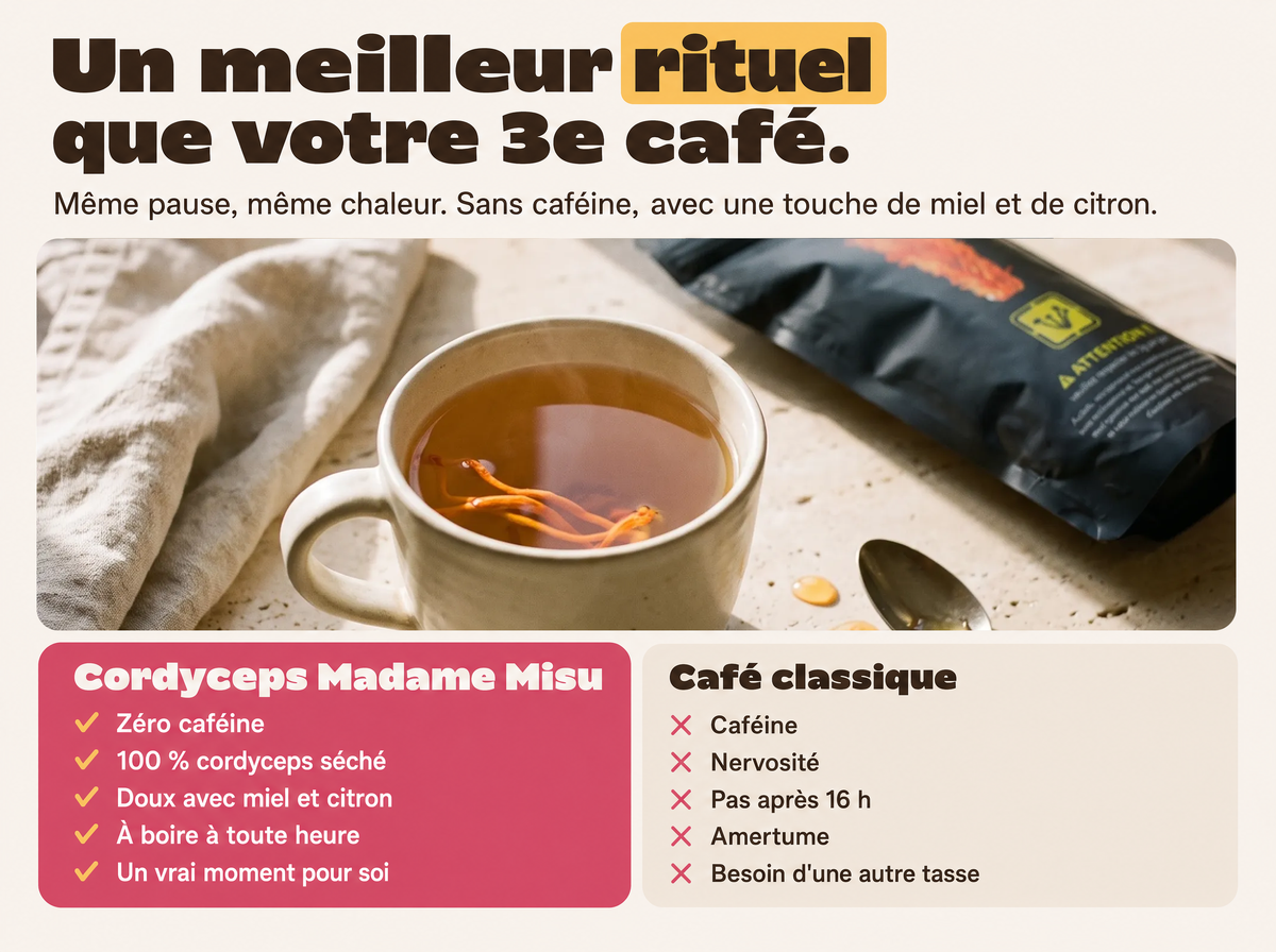 Cordyceps Madame Misu comparé au café classique