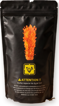 1 paquet de cordyceps